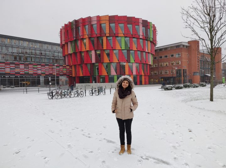 ESR 9 Shereen Abouelazayem, Secondment at Chalmers, Jan. 2019